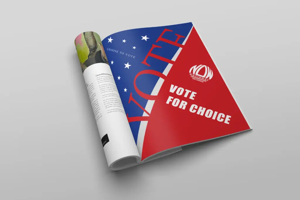 diesc votead mockup